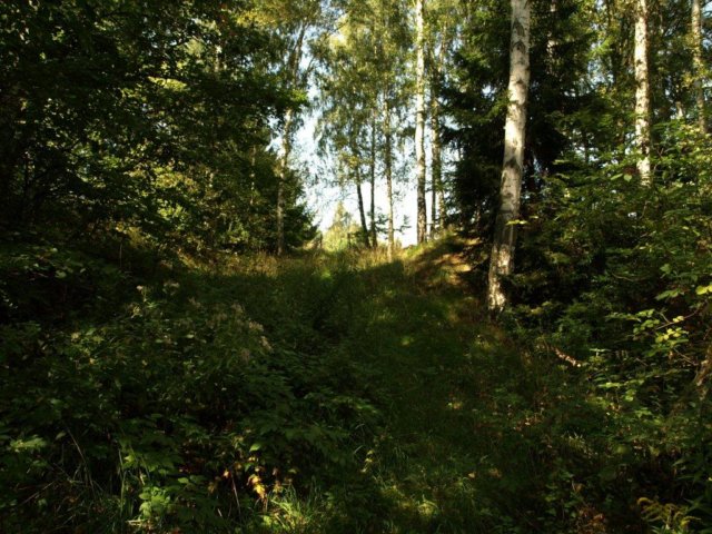 p1014418.jpg